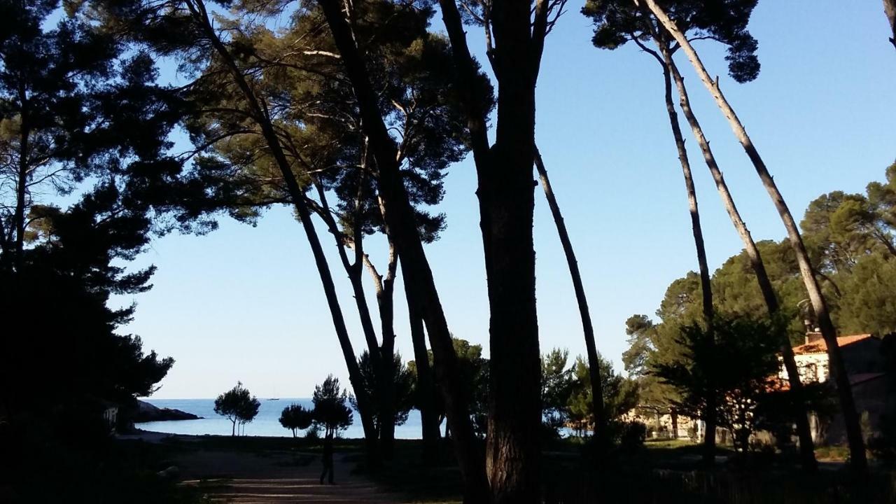 Studio Del Sol Saint-Cyr-sur-Mer Eksteriør bilde